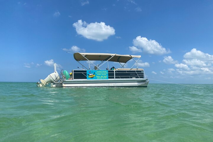4 Hour Dolphin and Sandbar Cruise - Photo 1 of 6